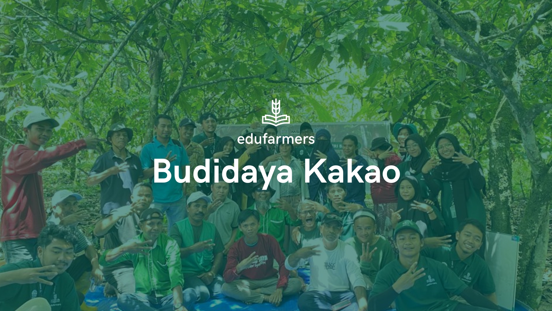 Memahami Budidaya Kakao 