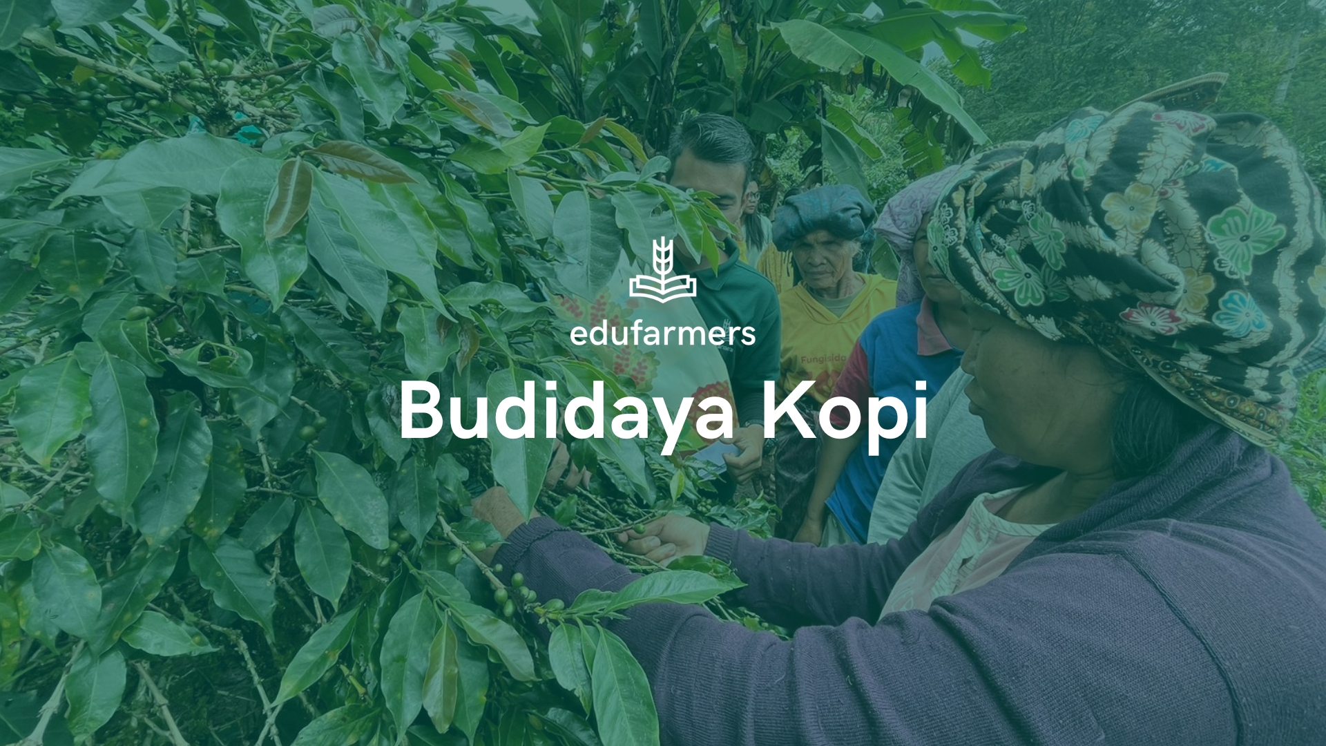 Memahami Budidaya Kopi