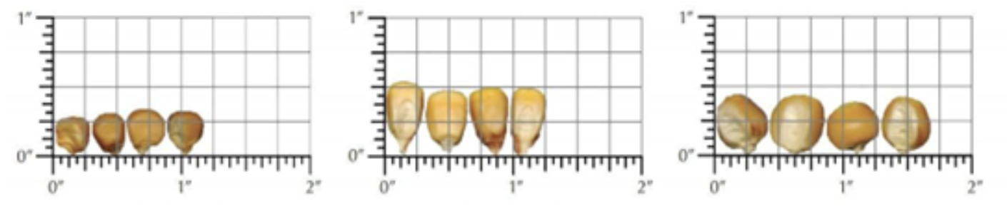  Grading biji jagung berdasarkan ukuran