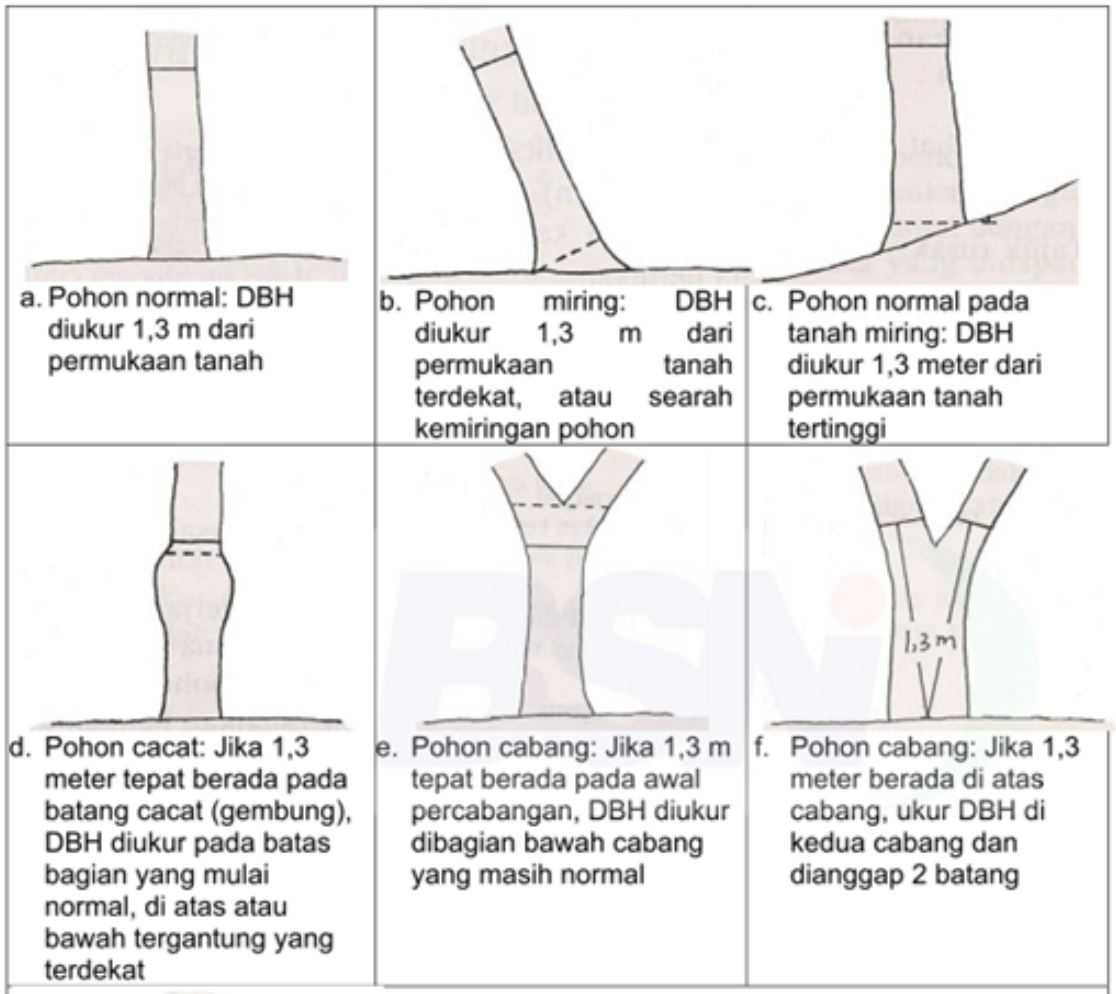 Menentukan diameter batang tidak beraturan