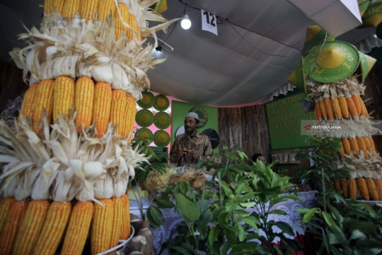 Kegiatan pemasaran jagung pada pameran